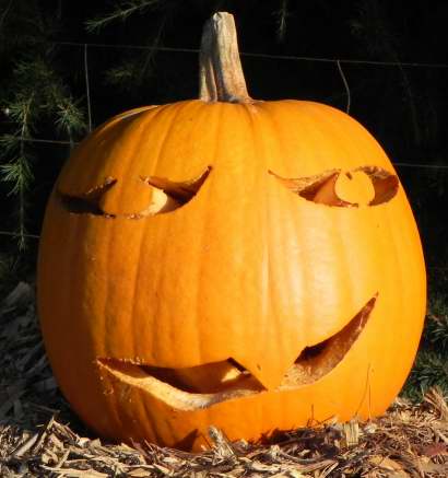 Single tooth, Nipomo Pumpkin Patch, carving idea